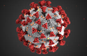 Coronavirus lel